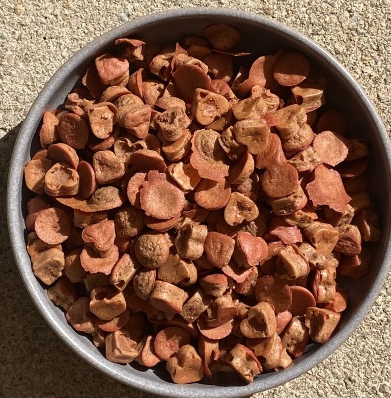 Rote Bete Hundekekse aus der Backmatte