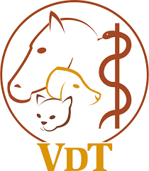 VDT